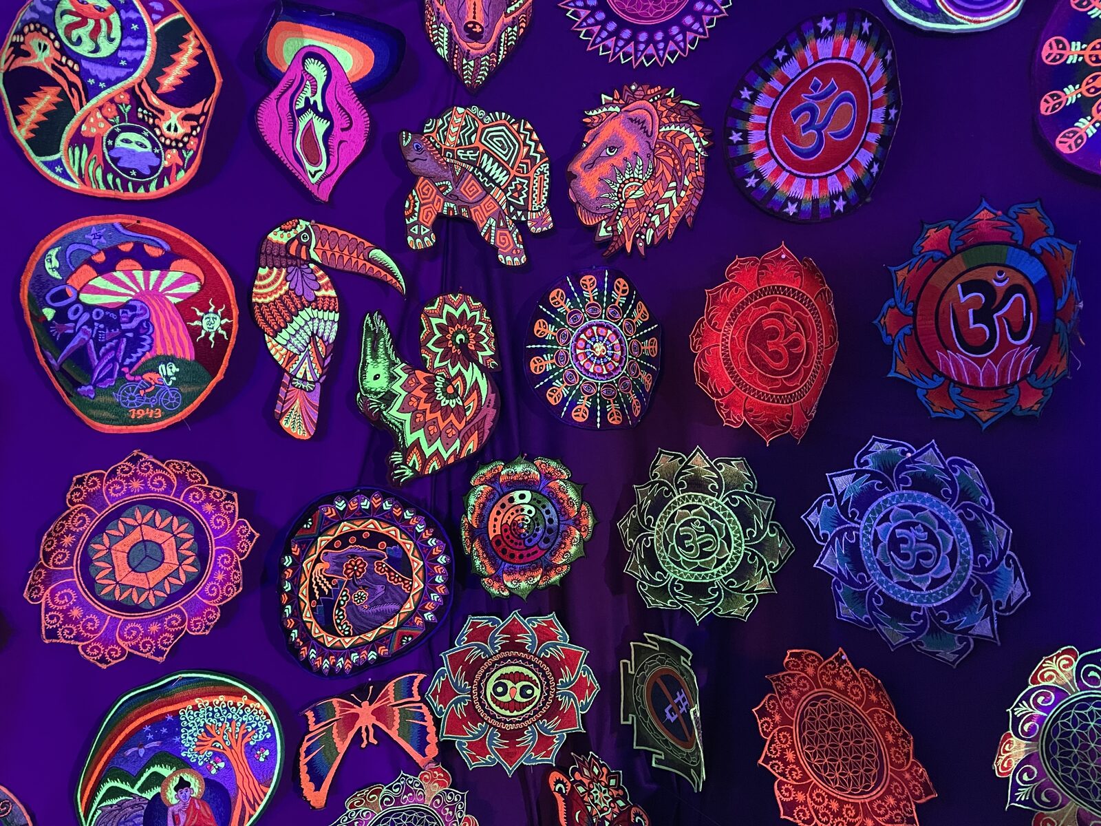Wall bloom · UV heritage